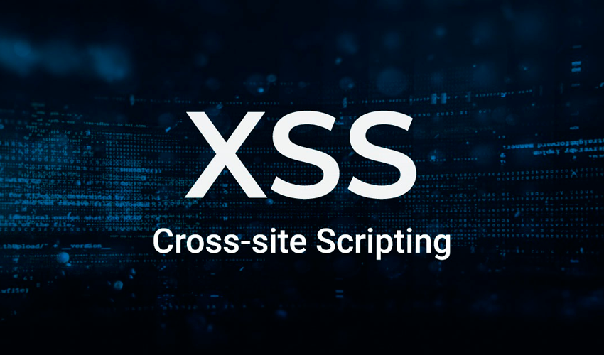 Cross Site Scripting